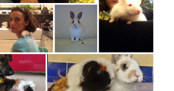 marjorie pet sitter à ST LAURENT DE LA SALANQUE 66250_5