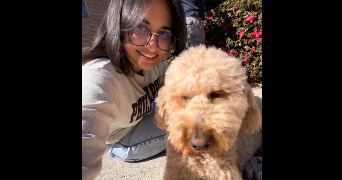 manihini pet sitter à MONTPELLIER 34000_4