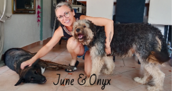 valérie pet sitter à Le Thor 84250_8