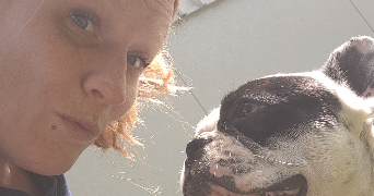 lietard pet sitter à LILLE 59800_2