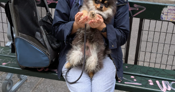 luciana pet sitter à PARIS 15 75015_5