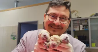 enrique pet sitter à BEDARIEUX 34600