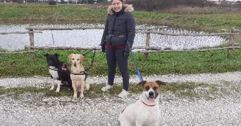 amandine pet sitter à CHAUMES EN RETZ 44680