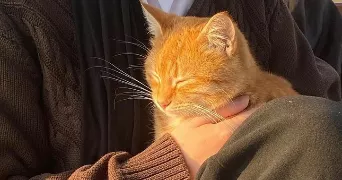 bella pet sitter à CLICHY 92110