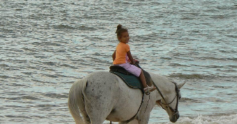 jade pet sitter à NICE 06300_6