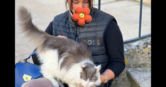 sandra pet sitter à VILLEJUST 91140_1