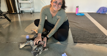 manihini pet sitter à MONTPELLIER 34000_3