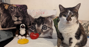 emilie pet sitter à NICE 06000_1