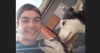 robin pet sitter à MONTPELLIER 34090_1