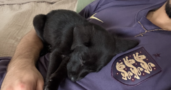 romuald pet sitter à LANEUVEVILLE DEVANT NANCY 54410_0