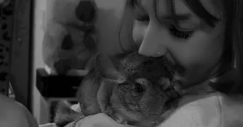 amanda pet sitter à MARMANDE 47200