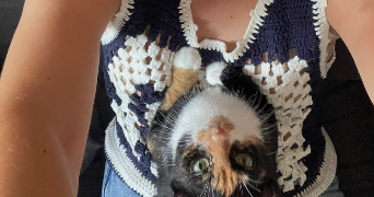 laura cat sitter à CERGY 95000_4