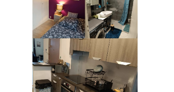 zoé pet sitter à LYON 08 69008_3