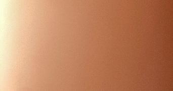 leo pet sitter à FLEURY LES AUBRAIS 45400_0