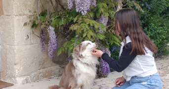 dacha pet sitter à TOULOUSE 31300_3