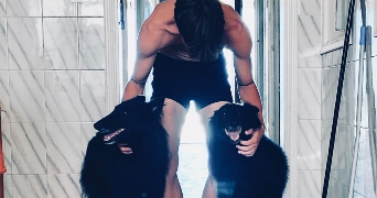 zack pet sitter à LIMOGES 87000_0