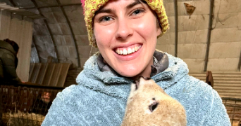 jeanne pet sitter à CHAMBERY 73000_1