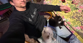 louis cat sitter à BORDEAUX 33800_2