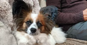 marjorie pet sitter à COIGNIERES 78310