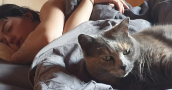 achille pet sitter à LYON 08 69008_6
