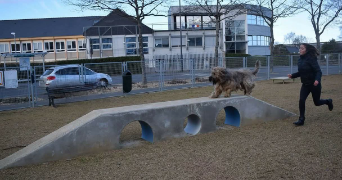 katy pet sitter à RENNES 35700_6