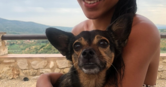 phédra pet sitter à LYON 01 69001_3