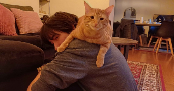 natsuki cat sitter à COURBEVOIE 92400_2