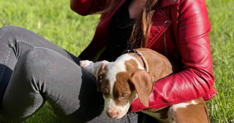 lise pet sitter à LEVET 18340_3
