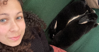 daina pet sitter à BIARRITZ 64200_2
