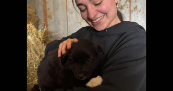 camille pet sitter à Rodez 12000_1