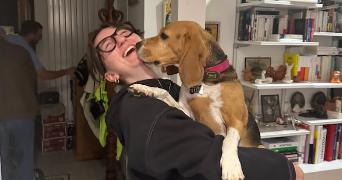 marie-adèle pet sitter à TOULOUSE 31000_1