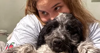 jade pet sitter à SORGUES 84700