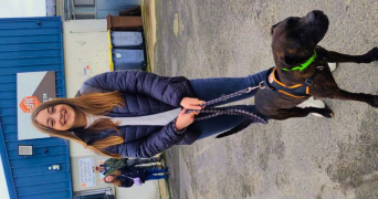 léa pet sitter à LILLE 59000_2