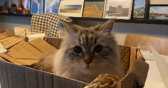 camille pet sitter à PARIS 06 75006_3