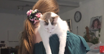 moïra pet sitter à PARIS 01 75001_2
