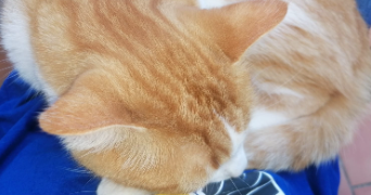 maud pet sitter à PARIS 16 75116_5