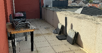 florence pet sitter à FLEURY LES AUBRAIS 45400_2