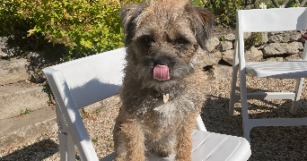 marie pet sitter à CHATEAUNEUF DE GALAURE 26330_4