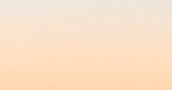 inès pet sitter à HATTENVILLE 76640_0