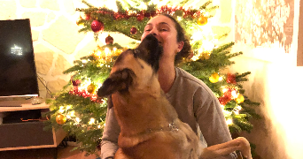 aude pet sitter à BRESLES 60510_0