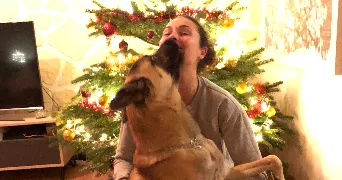 aude pet sitter à BRESLES 60510