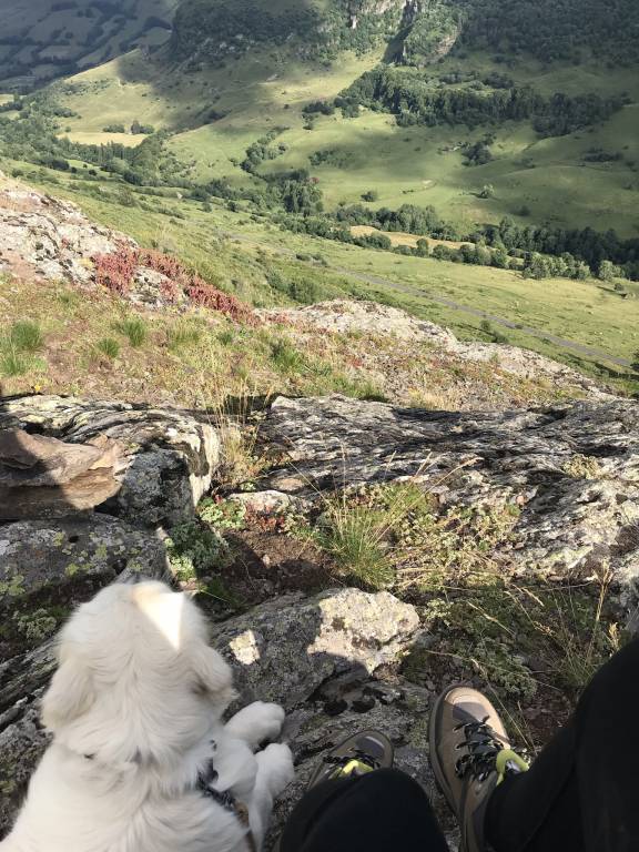Rebecca pet sitter à Le Plessis-Trévise 94420_0