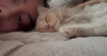 aya pet sitter à LYON 07 69007_4
