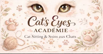 elodie cat sitter à SILLINGY 74330