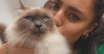 jade pet sitter à ORLEANS 45000_3