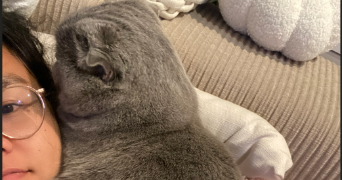 kiou pet sitter à PARIS 11 75011_2