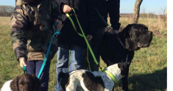laure pet sitter à GUJAN MESTRAS 33470_1