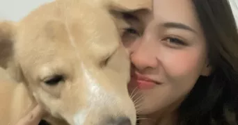 ayu pet sitter à BREST 29200