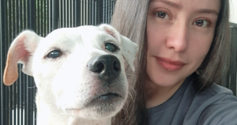 heidi pet sitter à CHEVILLY LARUE 94550_6