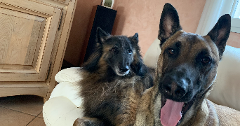 lea pet sitter à MONTPELLIER 34090_5